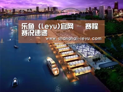 案例展示八
