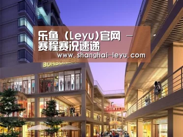 案例展示一