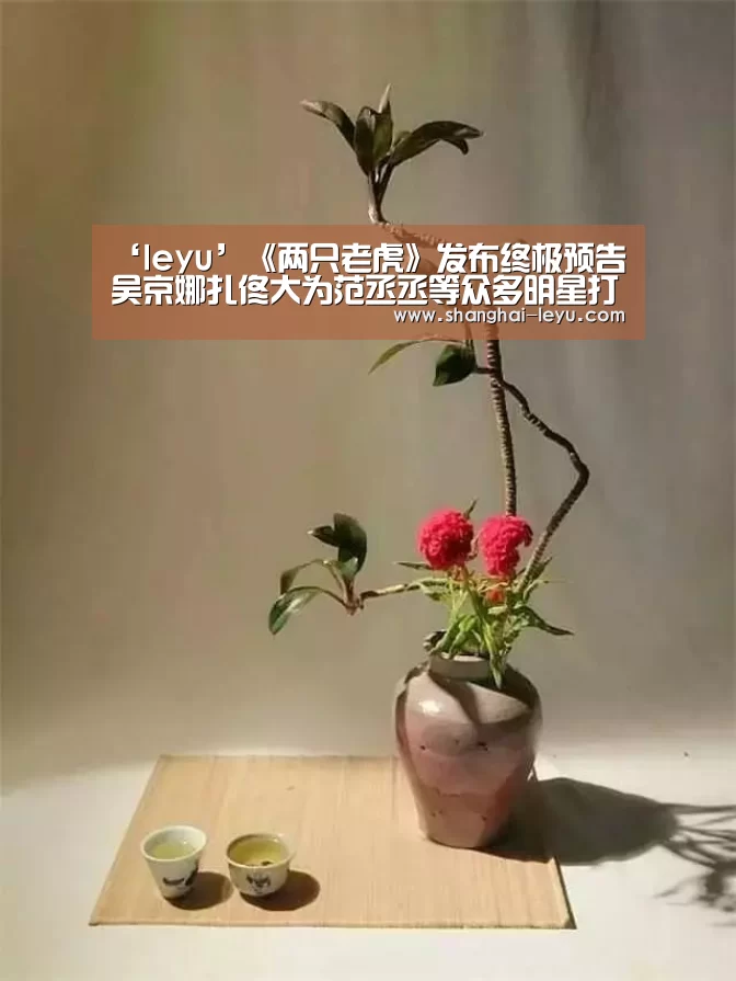‘leyu’《两只老虎》发布终极预告 吴京娜扎佟大为范丞丞等众多明星打call(图1) ‘leyu’《两只老虎》发布终极预告 吴京娜扎佟大为范丞丞等众多明星打call(图1)